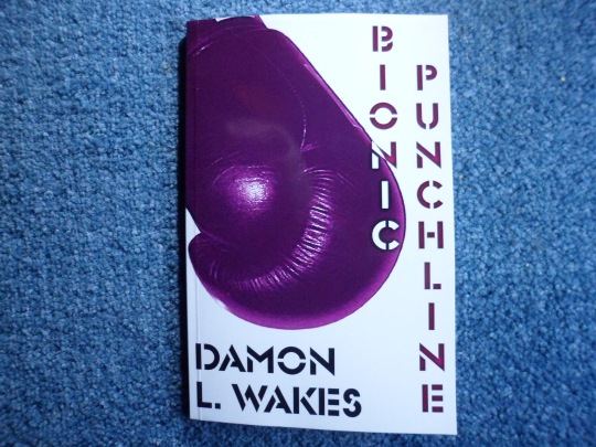 Bionic Punchline Front Cover