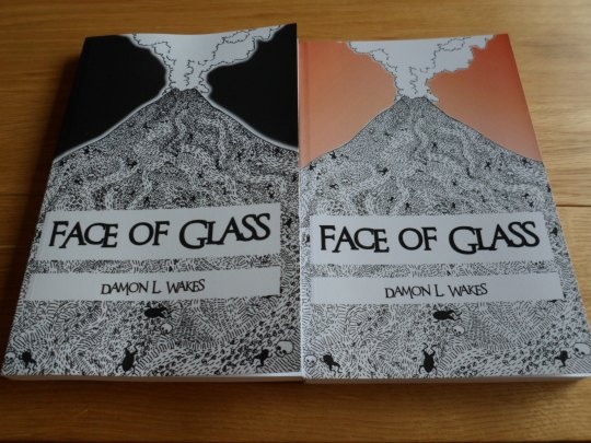 Face of Glass Cover Comparison